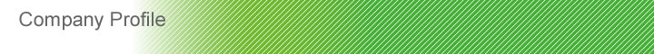 Company Profile
